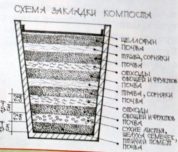 Схема закладки компоста