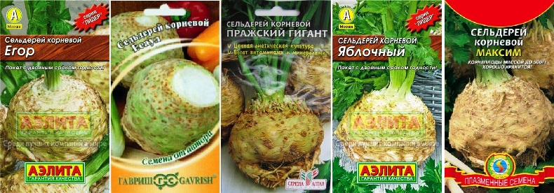 Сельдерей корневой, семена