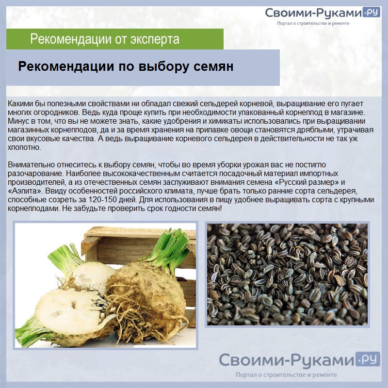Рекомендации по выбору семян