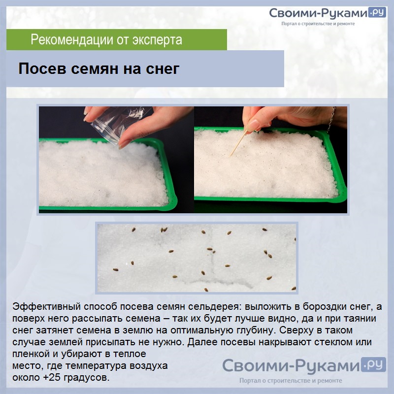 Посев семян на снег