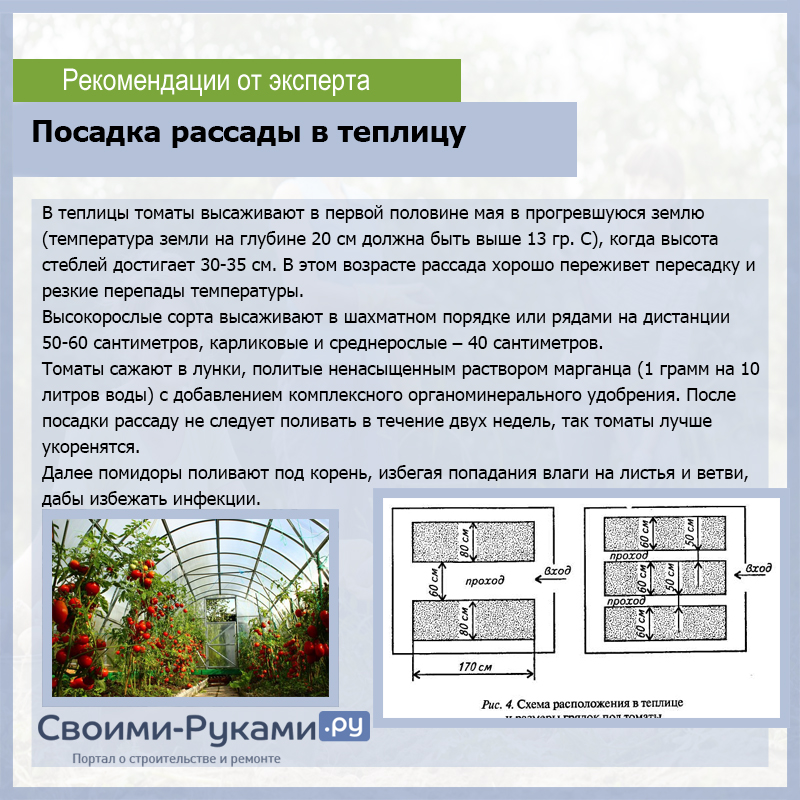 Посадка рассады в теплицу