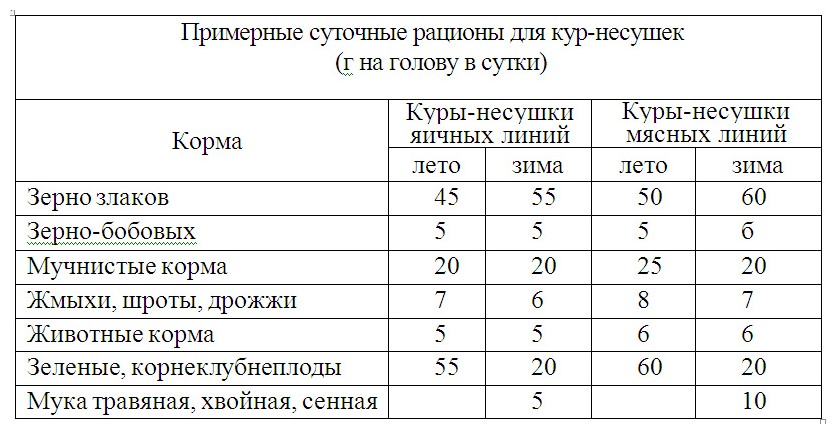 Правильный рацион питания