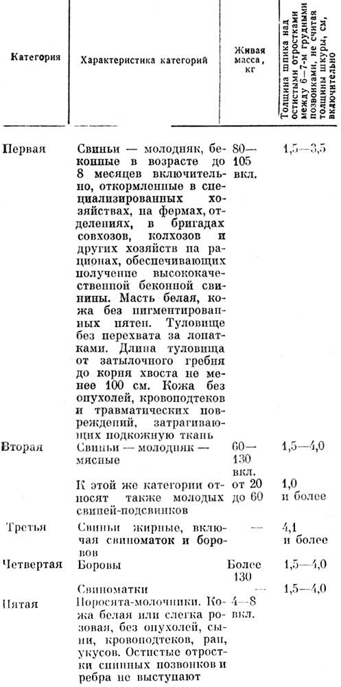 Стандарт свиней для убоя. К первой и второй категориям не относят свиноматок