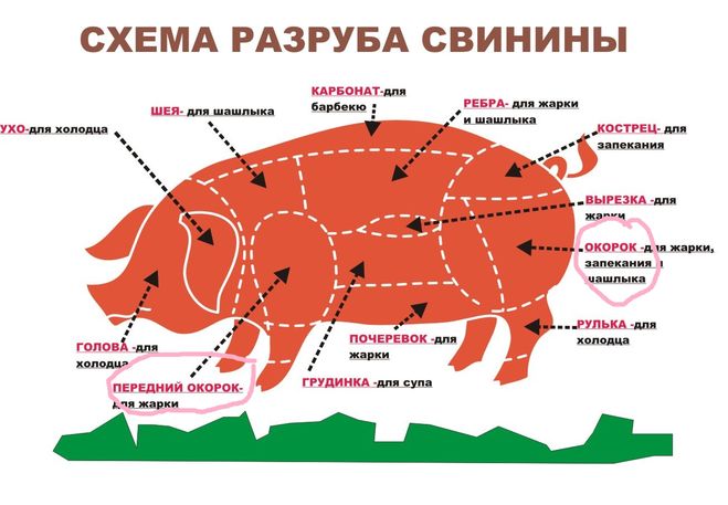 Схема разруба свинины