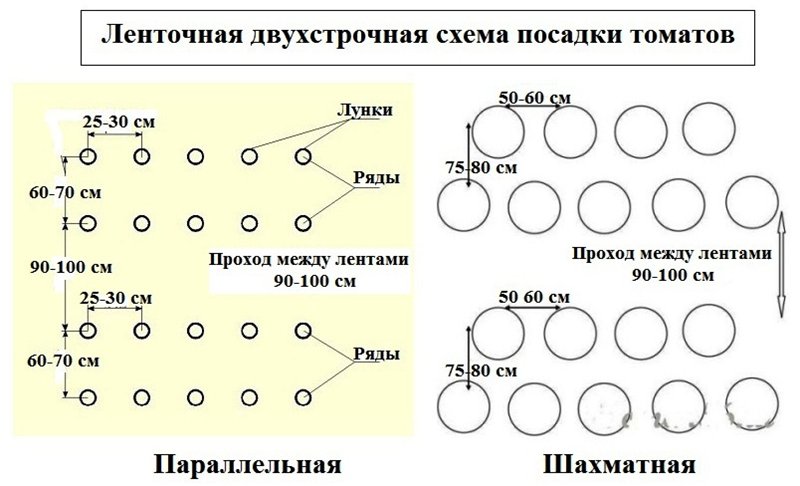 Схемы посадки томатов