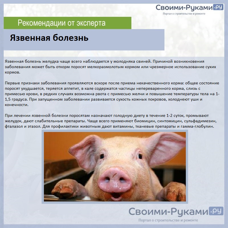 Язвенная болезнь