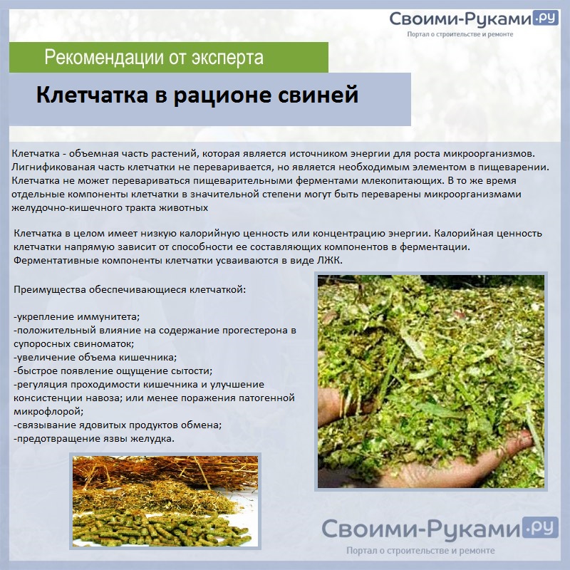 Клетчатка в рационе свиней