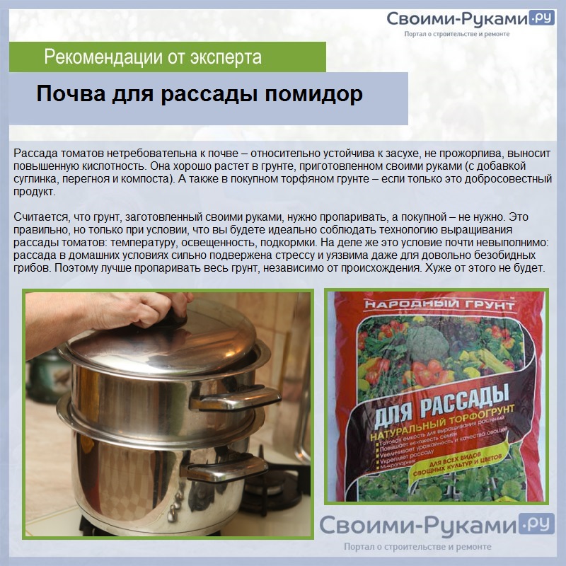 Почва для рассады помидор