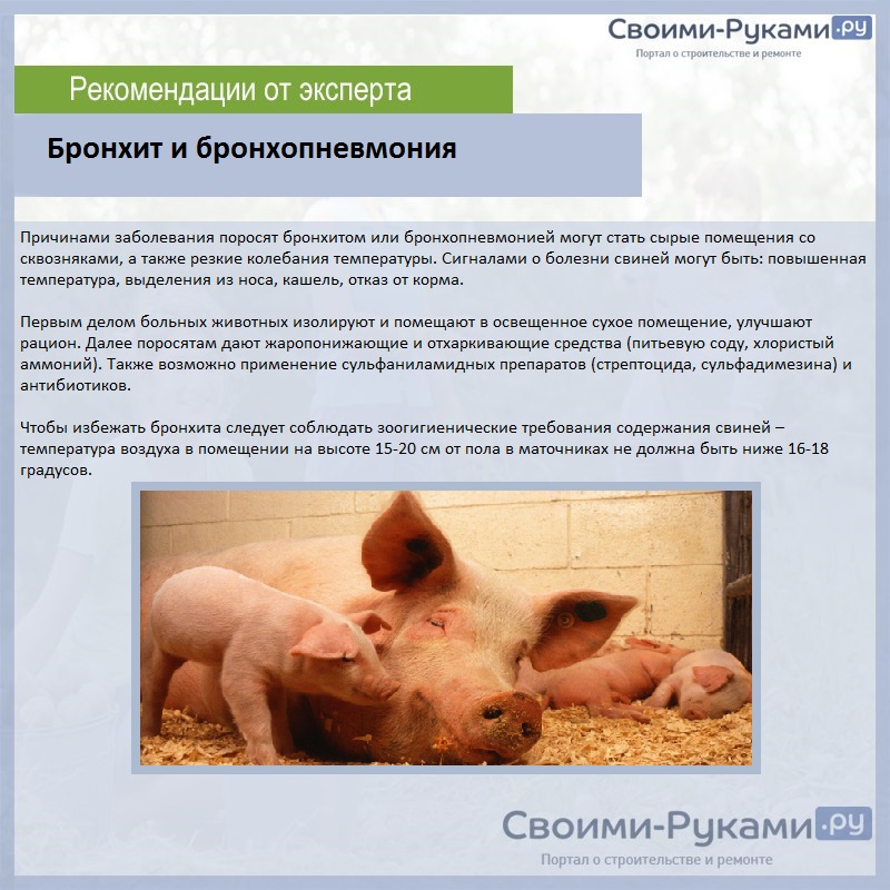 Бронхит и бронхопневмония