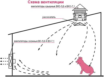 Вентиляция в свинарнике