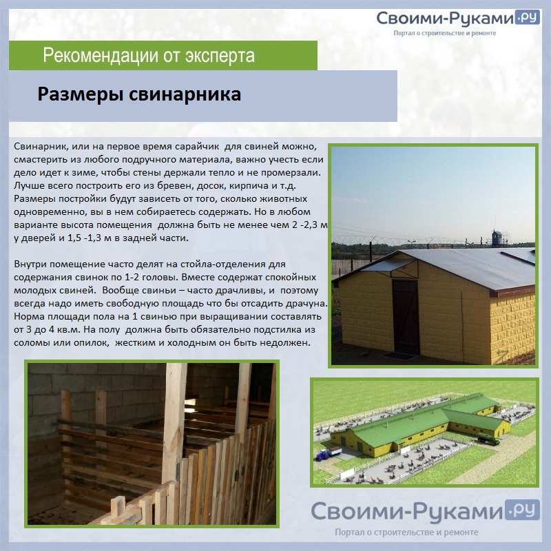 Размеры свинарника