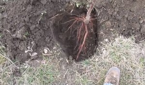 Шаг второй